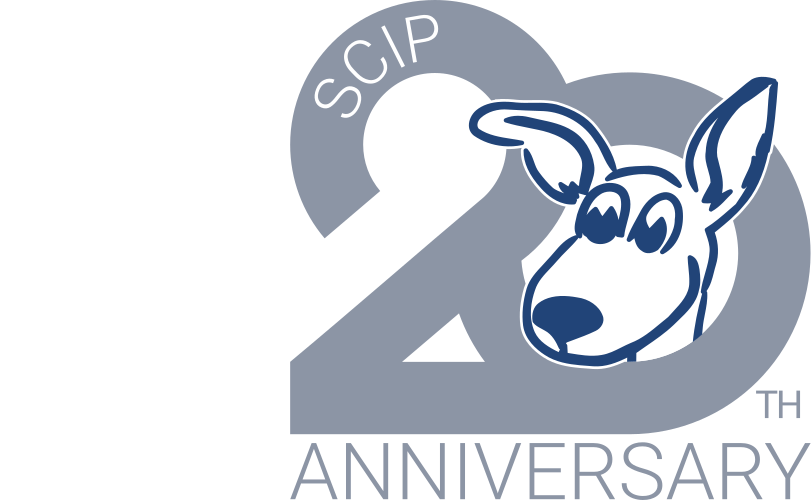 SCIP 20th anniversary